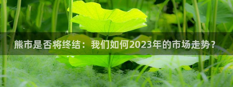 u8国际界面视觉重构.活动专区.中国