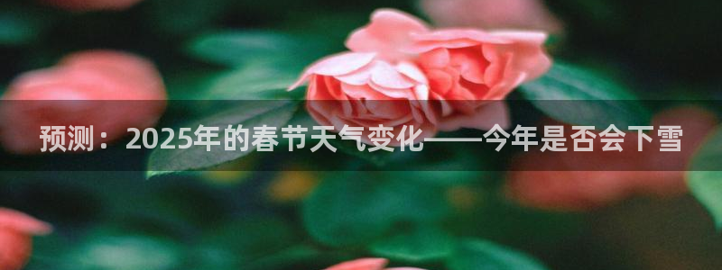 u8国际界面视觉重构.活动专区.中国
