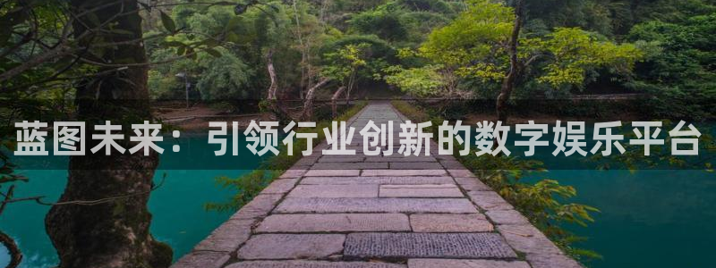 u8国际集团引商