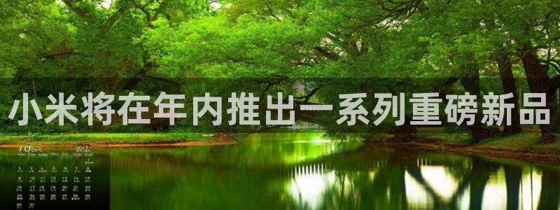 u8国际集团