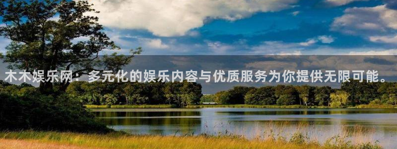 u8国际界面申领