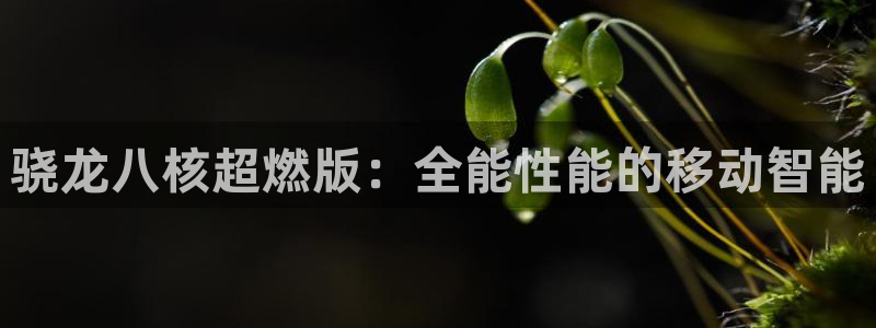 u8国际网站前言