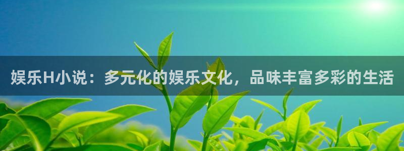 u8国际是什么