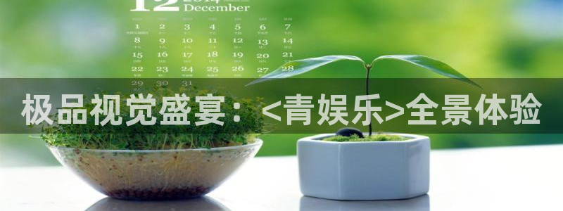 u8国际登录网址