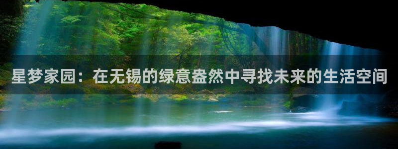 u8国际集团引商