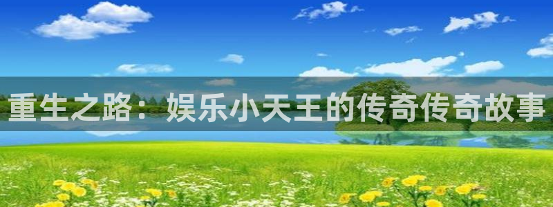 u8国际集团引商