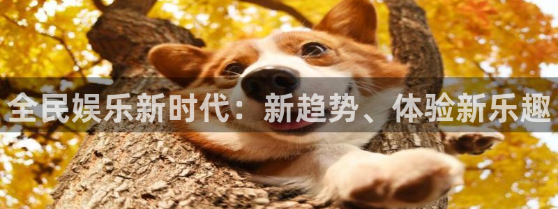 u8是什么意思