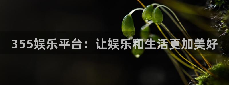 U8国际官网：355娱乐平台：让娱乐和生活更加美好