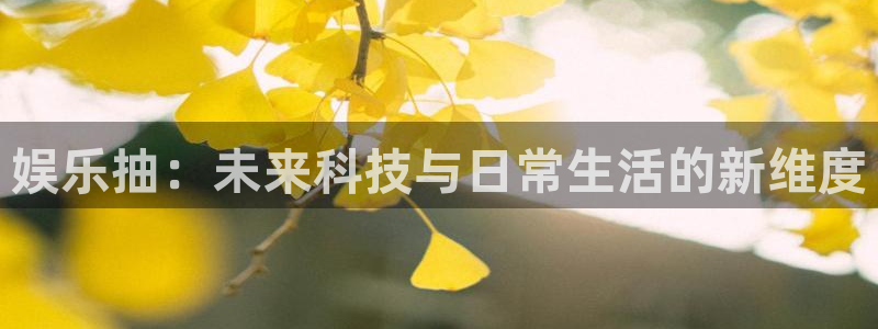 u8国际是什么：娱乐抽：未来科技与日常生活的新维度
