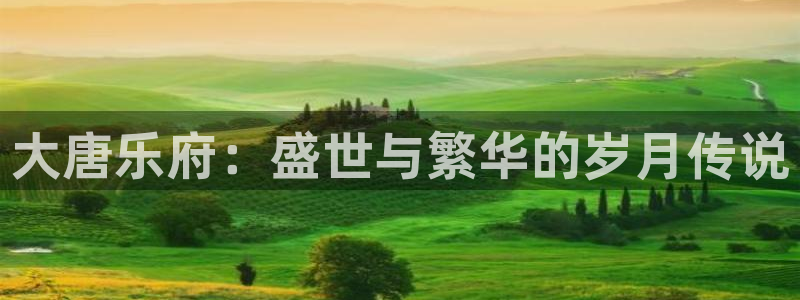 u8国际界面视觉重构.活动专区.中国：大唐乐府：盛世与繁华的岁月传说