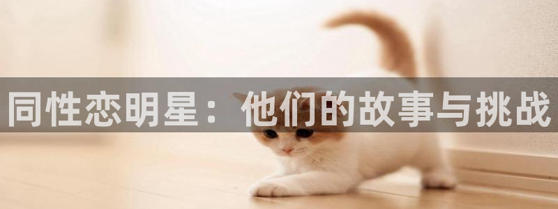 u8国际平台：同性恋明星：他们的故事与挑战