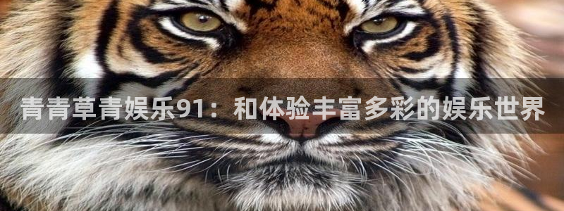 u8国际网站前言：青青草青娱乐91：和体验丰富多彩的娱乐世界